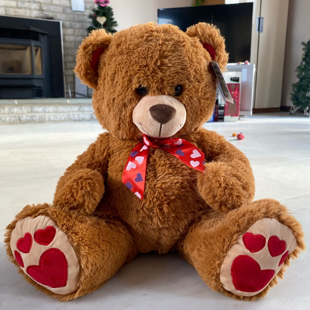 Back2Fun Plush Pals Valentine's Bear